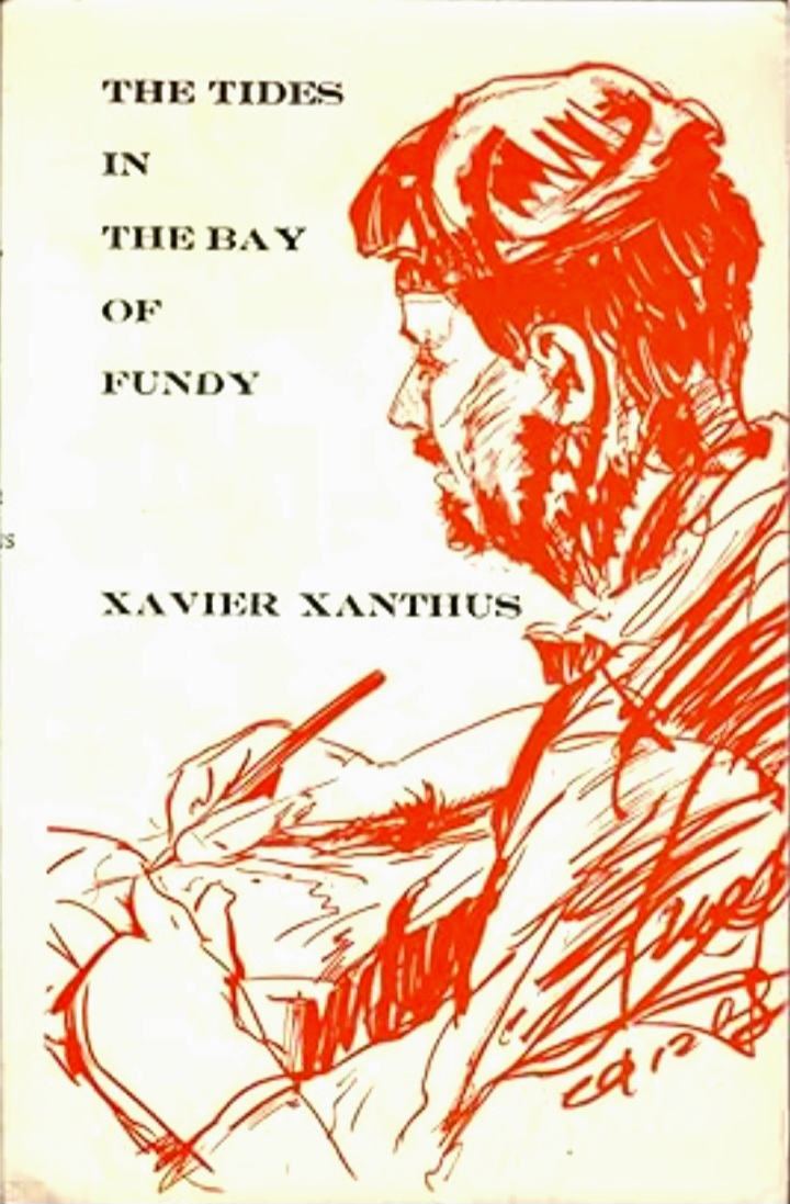 The Tides in the Bay of Fundy: A Vazzle (Paperback)