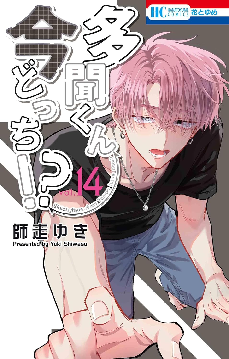 多聞くん今どっち!? 14 [Tamon-kun Ima Docchi!? 14] (Paperback)