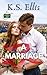 A Practical Marriage (Welcome to Hamilton Flats)