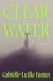 Clear Water: A Novel