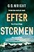 Efter stormen (DS Sue Willmott, #1)