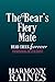 The Bear's Spicy Mate: A Cozy Bear Shifter Romance
