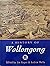 A History of Wollongong