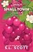 Small Town Frenzy (Peachtree Pass, #3)