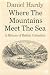 Where the Mountains Meet th...