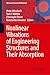Nonlinear Vibrations of Engineering Structures and Their Absorption (Advanced Structured Materials, 254)