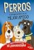 Perros. Comprende a tu mejor amigo (Spanish Edition)
