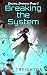 Breaking the System (Digital Divinity Book 1)
