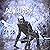 Die Nullform (Buch 5): Eine RealRPG-Serie