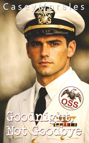 Goodnight Not Goodbye: A romantic, mm romance prequel (Of Shadows & Secrets)