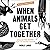 When Animals Get Together: Collective Nouns for Community and Solidarity