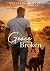 Grace for the Broken (The R...