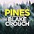 Pines (Wayward Pines, #1)