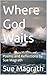 Where God Waits: Poems and ...