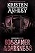 Gossamer in the Darkness: A Fantasyland Novella