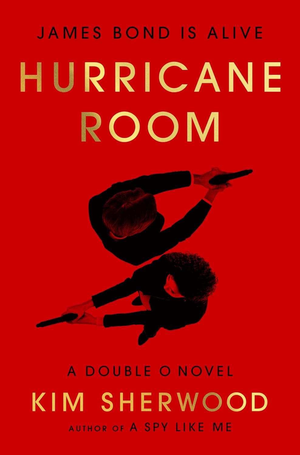 Hurricane Room (Double O, #3)
