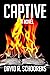 Captive by David Schoorens