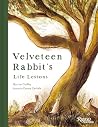 Velveteen Rabbit'...