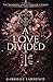 A Love Divided (The Shadows and Luminance)