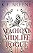 Magical Midlife Rogue (Leveling Up)