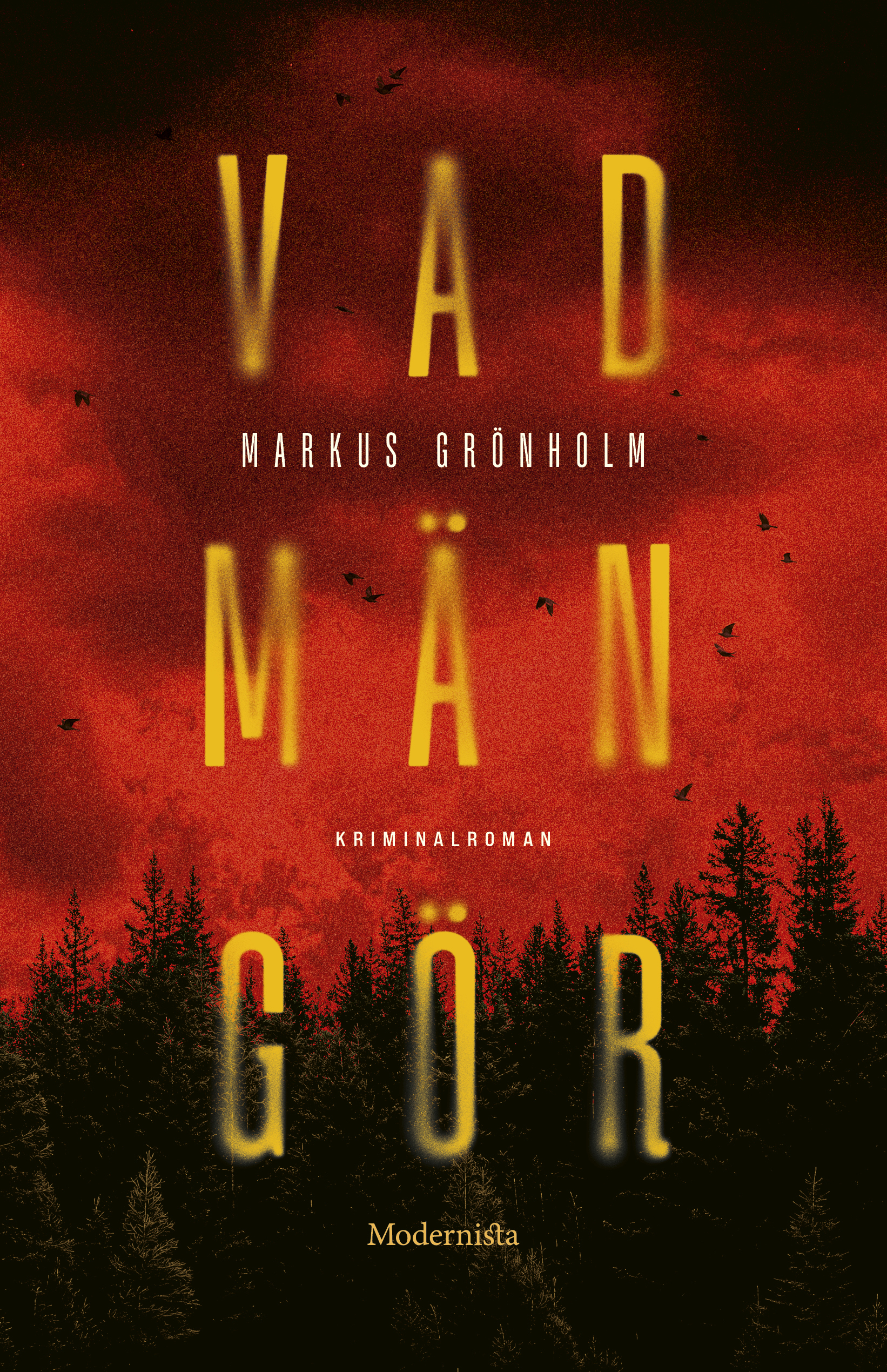 Vad män gör (Hardcover)