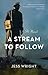 A Stream to Follow: A Novel