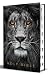 KJV Holy Bible, Large Print Handy Size format, Hardcover, Lion of Judah, Thumb Index, Ribbon Marker, and Red Letter