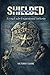 Shielded: Living Under Unquestioned Authority