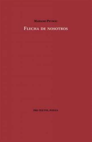 Flecha de nosotros (Paperback)