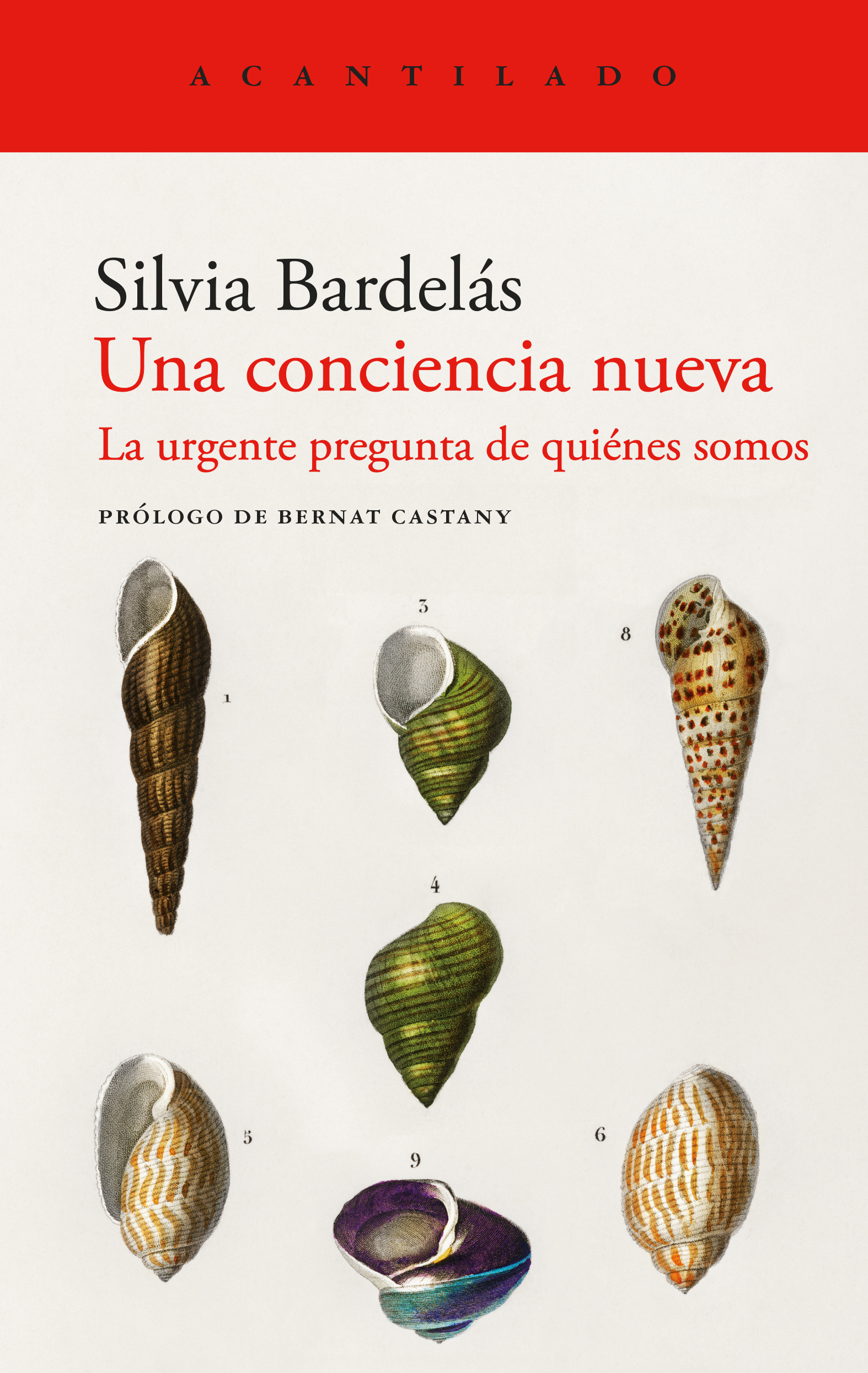 Una conciencia nueva: la urgente pregunta de quiénes somos