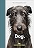 New Photography of the Dog.