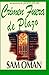 CRIMEN FUERA DE PLAZO by Sam Oman