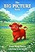 The BIG PICTURE Book: Wisdo...