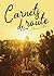 Carnets de route