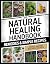 The Natural Healing Handboo...