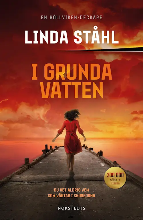 I grunda vatten (Höllviken-deckare #5)