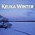 Keuka Winter by Nancy Hamilton