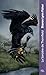 La Sorcière de Thornfield (poche)