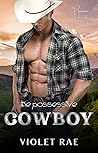 The Possessive Cowboy (Possessive Hearts #1)