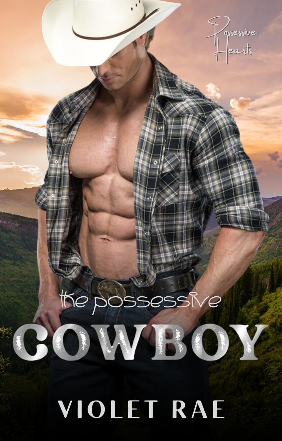 The Possessive Cowboy (Possessive Hearts #1)