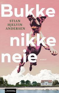 Bukke nikke neie (Hardcover)