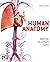 Human Anatomy