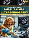 The Diagnostic At...