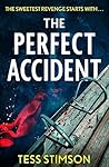 The Perfect Accident
