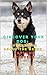 Discover your dog: Everything about the breed: Lapland Reindeer