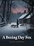 A boxing day fox: Bryn gwyn...
