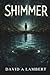 Shimmer