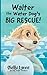 Walter the Water Dog's Big Rescue! by Shelbi Lynne