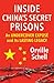 Inside China's Secret Prisons: An Undercover Exposé and Its Lasting Legacy