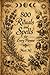 THE BIG BOOK OF SPELLS by Mach MJ